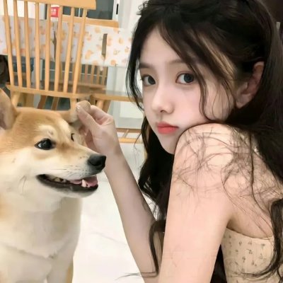 所罗门的伪证后篇：审判